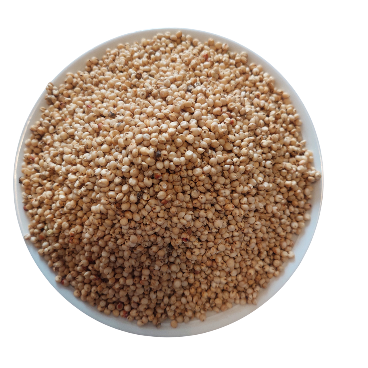 Sorghum Grain- White 1Kg