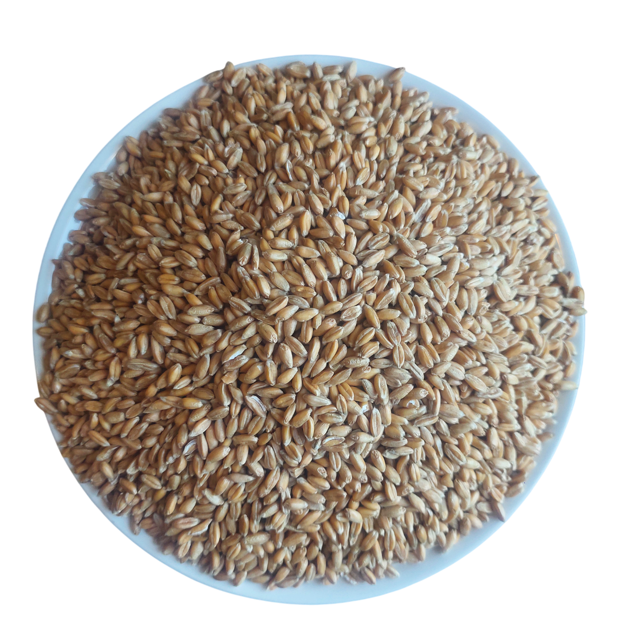 Spelt Grain -1Kg